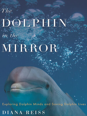cover image of The Dolphin in the Mirror